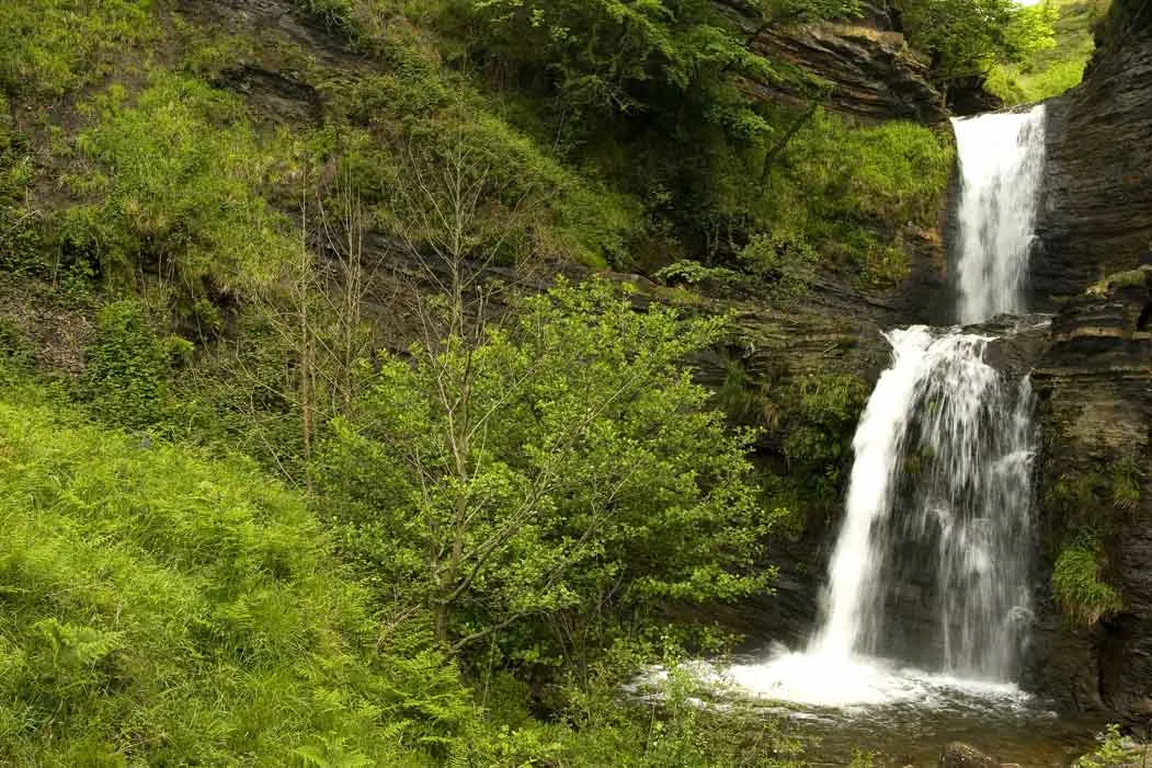 imagen de Experiencias guiadas